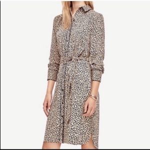 Ann Taylor Leopard Shirt Dress